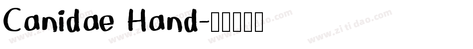 Canidae Hand字体转换
